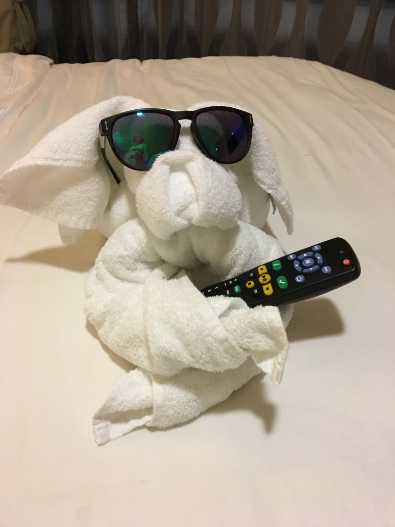 2017/12(December)/Royal-Carribean-Navigator-of-the-Seas-Cruise/800x600_2017-12-18-Cruise-23-towel-folding.JPG