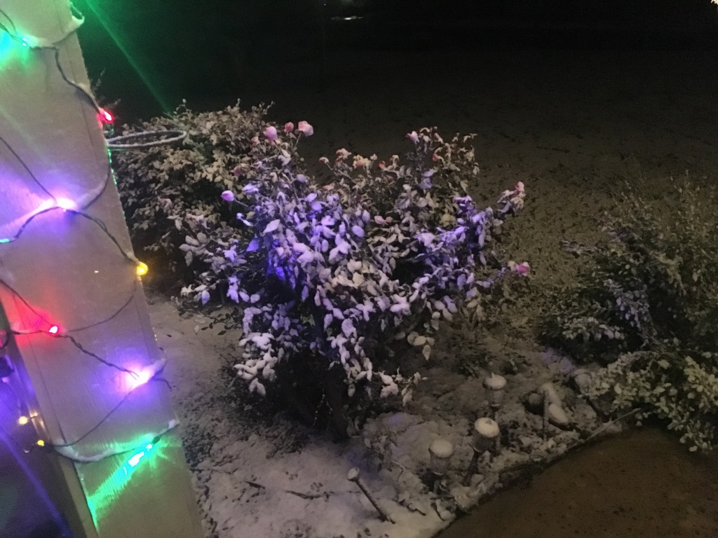 2017/12(December)/Snow-in-Austin/2017-12-07-Snow-in-Austin-1.JPG