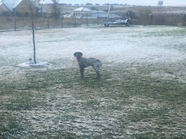 2017/12(December)/Snow-in-Austin/640x480_2017-12-08-Snow-in-Austin-2-Blaze.JPG