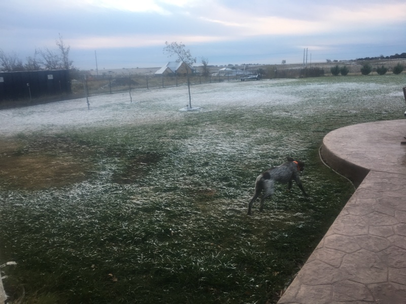 2017/12(December)/Snow-in-Austin/800x600_2017-12-08-Snow-in-Austin-1-Blaze.JPG