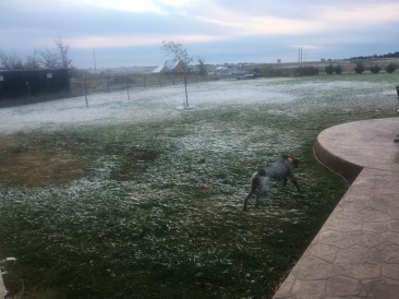 2017-12-08-Snow-in-Austin-1-Blaze.JPG