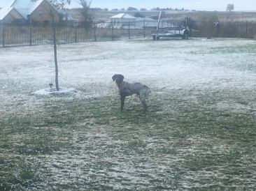 2017-12-08-Snow-in-Austin-3-Blaze.JPG