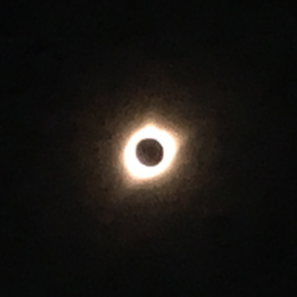 2017-08-21-Eclipse-Day-43-Medicine-Bow-National-Forest-GOOD.JPG