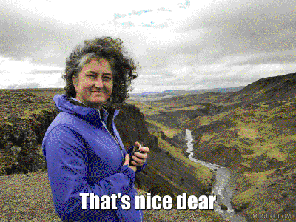 2018/01(January)/Memes/1024x768_Meme-11-Suzi-Thats-Nice-Dear.GIF