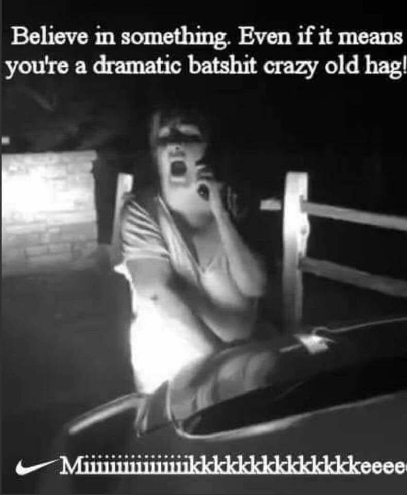 2018/01(January)/Memes/800x600_Meme-18-Miiiiiike-batshit-crazy.JPG