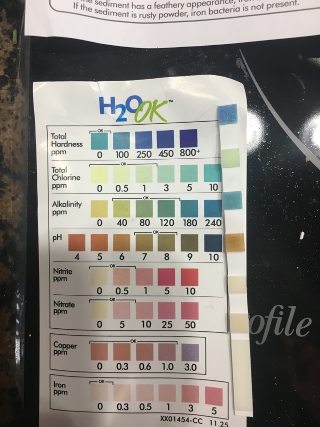 2018-02-22-Broken-Water-Softener-from-2005-3-Water-Tests-Before.JPG
