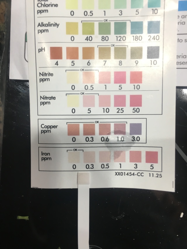 2018-02-22-Broken-Water-Softener-from-2005-6-Water-Tests-Before.JPG