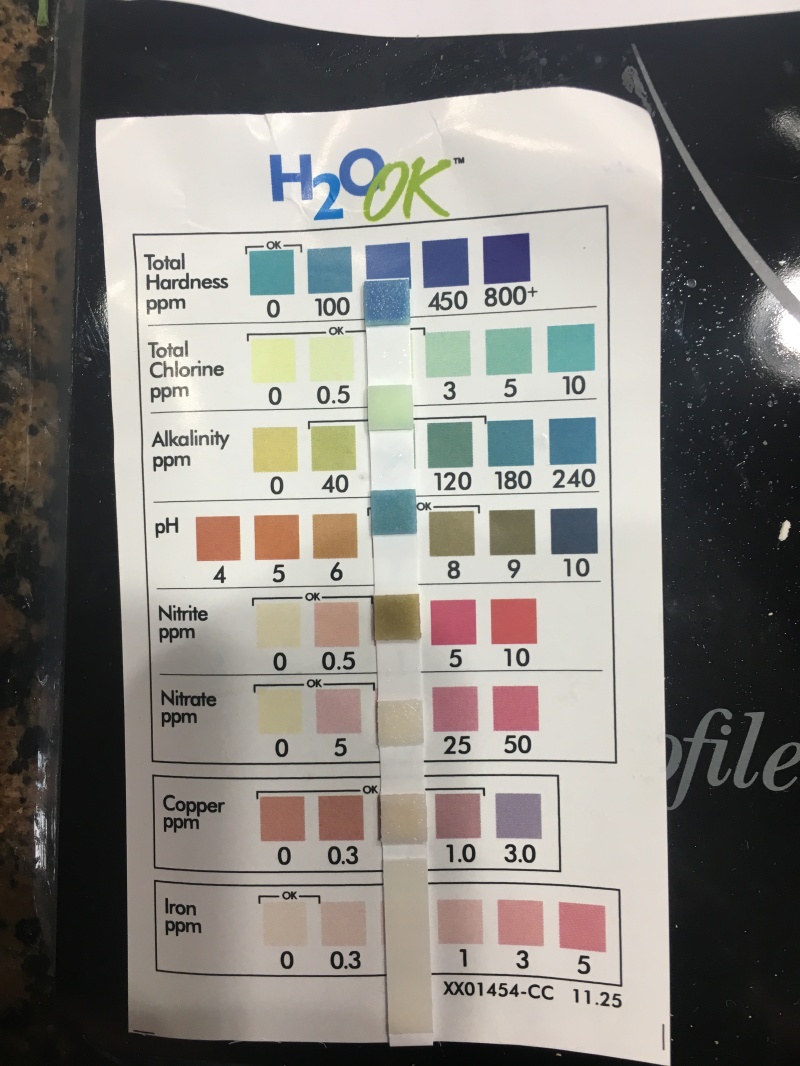 2018-02-22-Broken-Water-Softener-from-2005-4-Water-Tests-Before.JPG