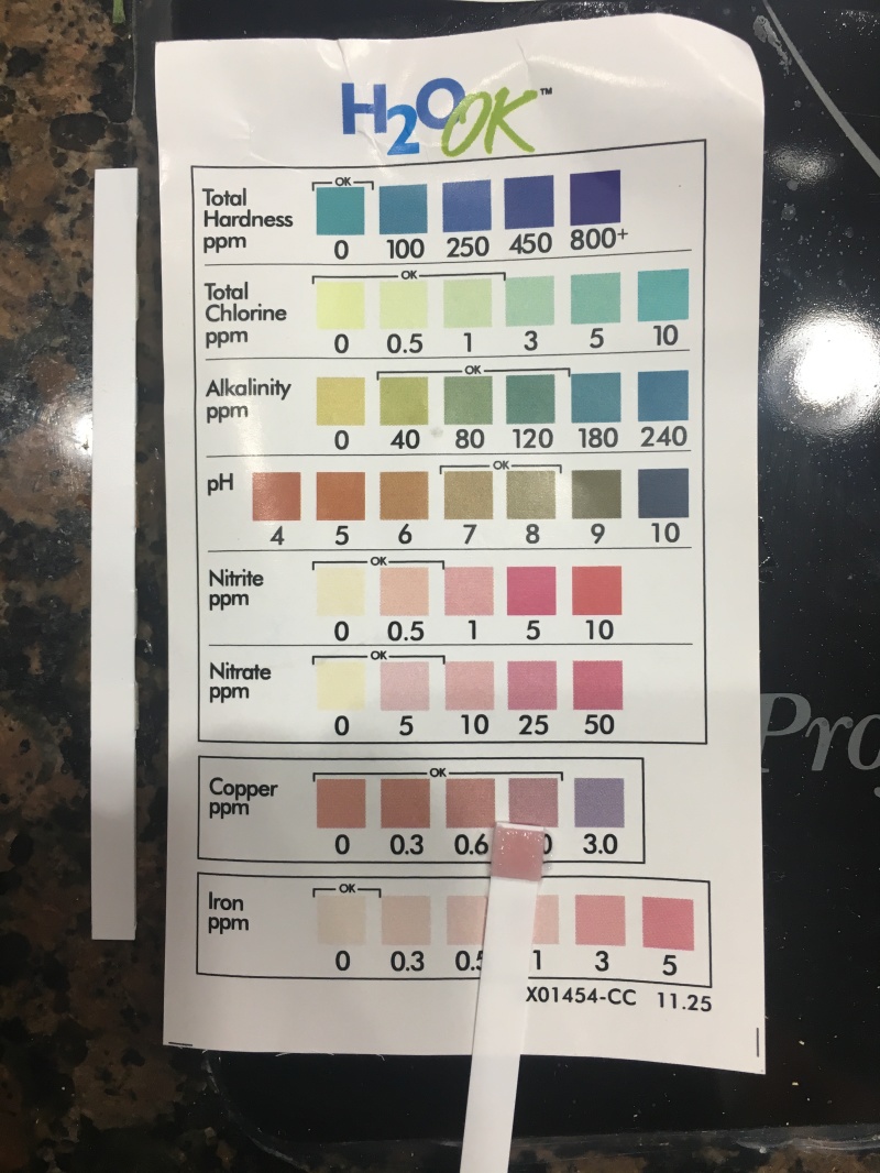 2018-02-22-Broken-Water-Softener-from-2005-5-Water-Tests-Before.JPG