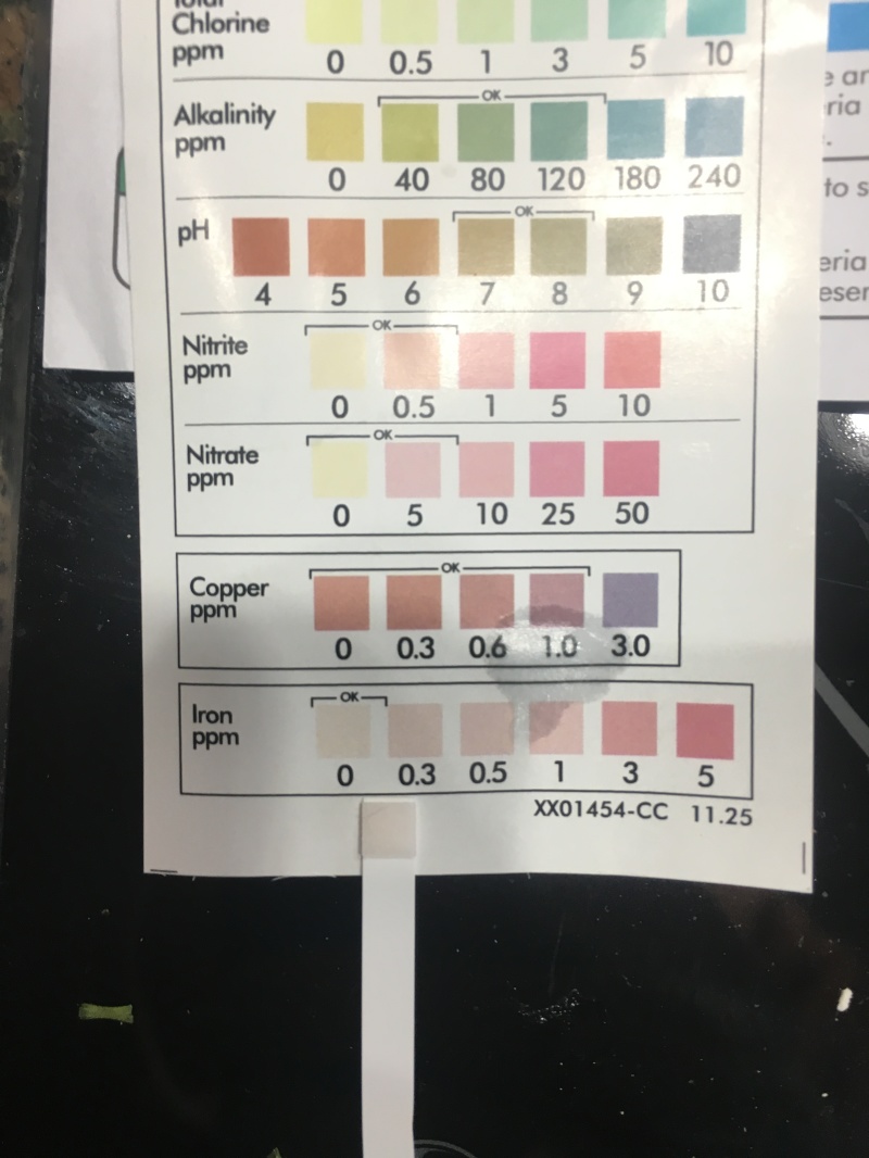 2018-02-22-Broken-Water-Softener-from-2005-6-Water-Tests-Before.JPG