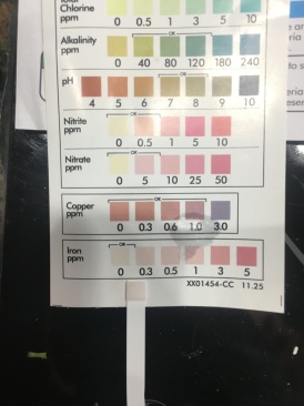 2018-02-22-Broken-Water-Softener-from-2005-6-Water-Tests-Before.JPG