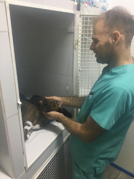 2018-03-23-Argentina-10-leo-vet.JPG
