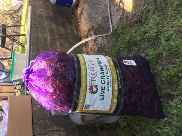 2018-04-14-Mark-Diane-Crawfish-Boil-15.JPG