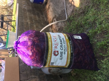 2018-04-14-Mark-Diane-Crawfish-Boil-15.JPG
