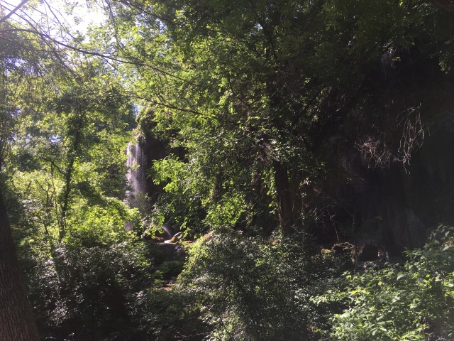 2018/04(April)/Crew8787-Colorado-Bend-Canoe/640x480_2018-04-28-Colorado-Bend-Crew8787-4.JPG