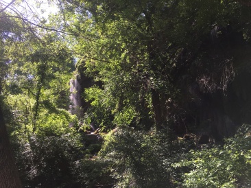 2018-04-28-Colorado-Bend-Crew8787-4.JPG
