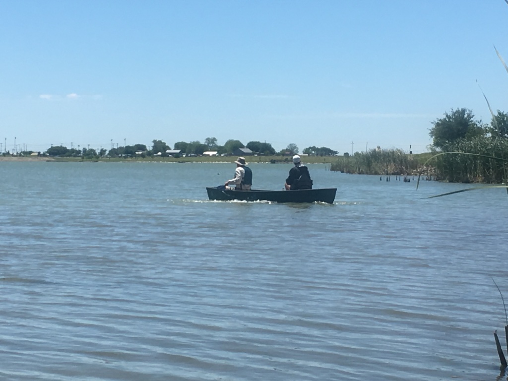 2018/04(April)/Crew8787-Lake-Pflugerville-Canoe-Practice/1024x768_2018-04-22-Lake-Pflugerville-Crew8787-Canoe-Practice-3-Carl-Chance.JPG
