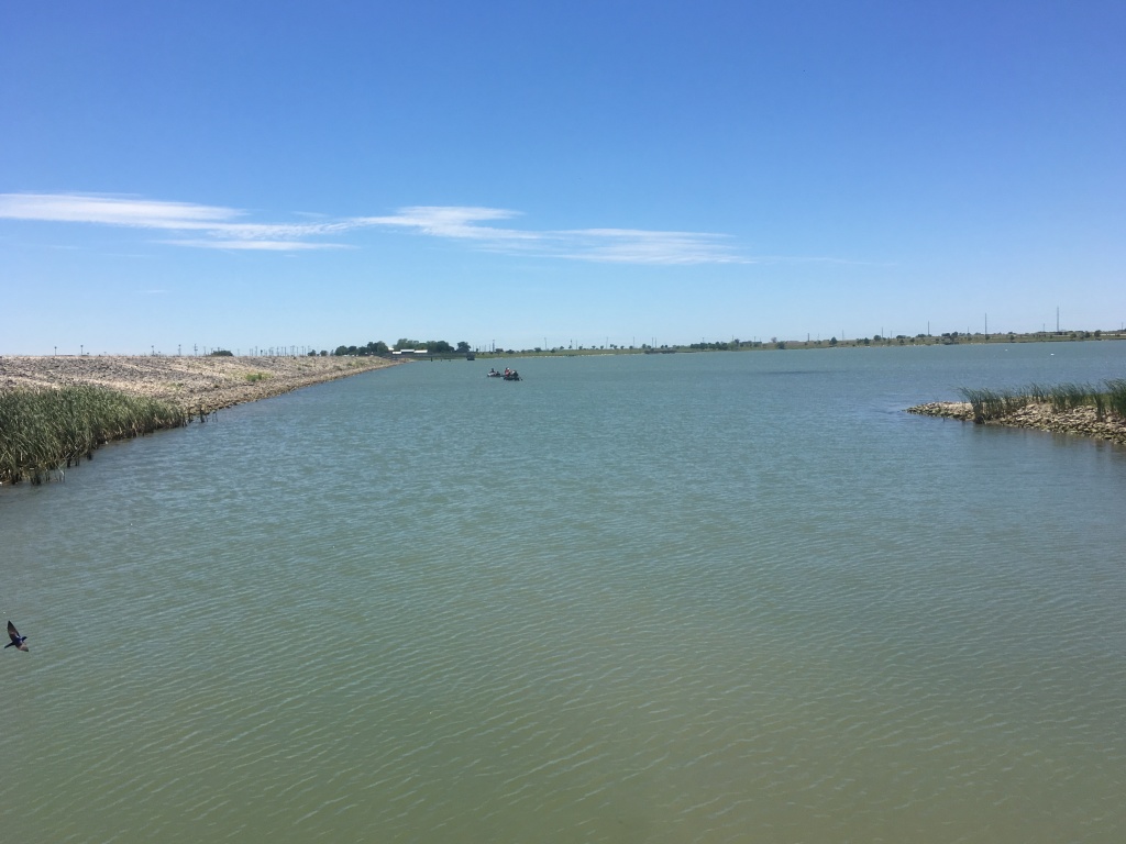 2018/04(April)/Crew8787-Lake-Pflugerville-Canoe-Practice/1024x768_2018-04-22-Lake-Pflugerville-Crew8787-Canoe-Practice-5.JPG