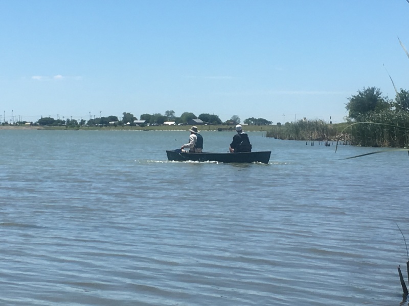2018/04(April)/Crew8787-Lake-Pflugerville-Canoe-Practice/800x600_2018-04-22-Lake-Pflugerville-Crew8787-Canoe-Practice-3-Carl-Chance.JPG