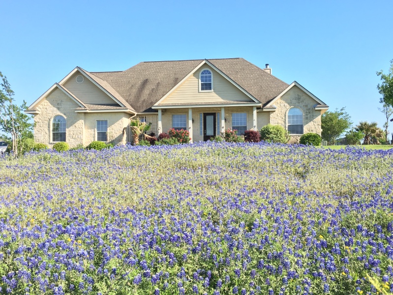 2018/04(April)/Easter/800x600_2018-04-10-BlueBonnets-3.JPG