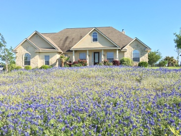 2018-04-10-BlueBonnets-3.JPG