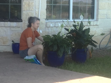 2018-04-01-Suzi-plant-pots.JPG