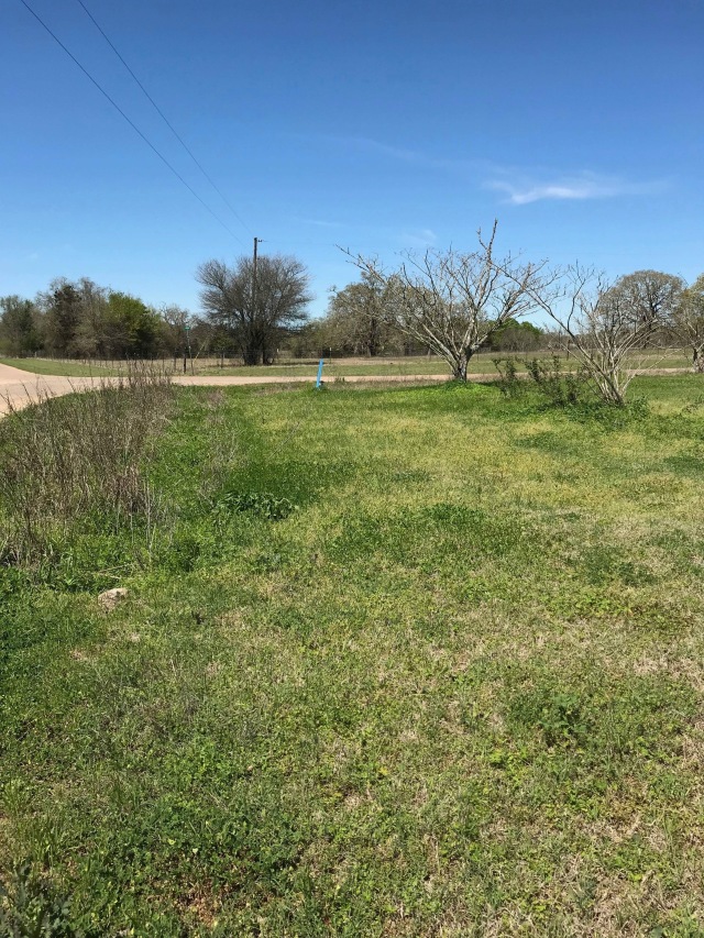 2018/05(May)/Monroe-Rockdale-Land/640x480_2018-05-14-Monroe-Rockdale-Land-04.JPG