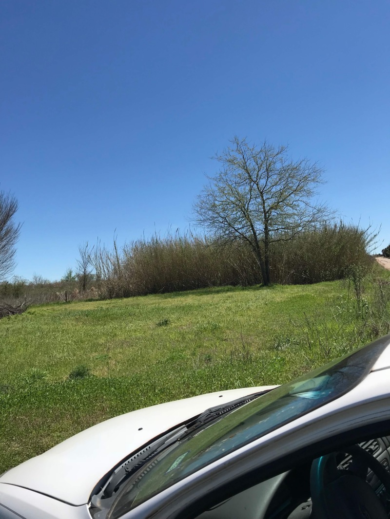 2018/05(May)/Monroe-Rockdale-Land/800x600_2018-05-14-Monroe-Rockdale-Land-09.JPG
