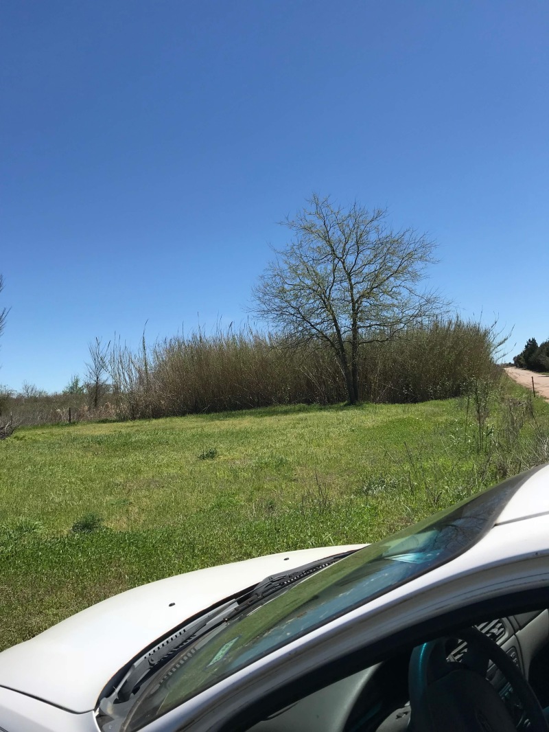 2018/05(May)/Monroe-Rockdale-Land/800x600_2018-05-14-Monroe-Rockdale-Land-10.JPG