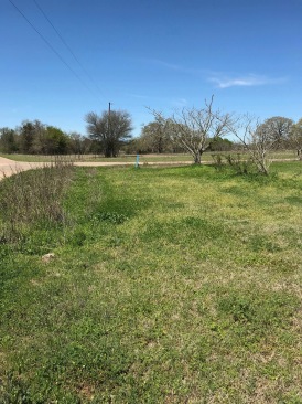 2018-05-14-Monroe-Rockdale-Land-04.JPG