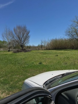 2018-05-14-Monroe-Rockdale-Land-08.JPG