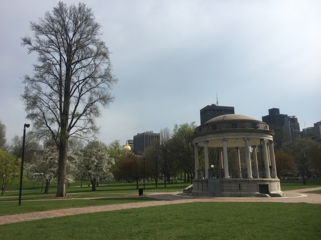 2018/05(May)/Vistra-travel/640x480_2018-05-03-Boston-3.JPG