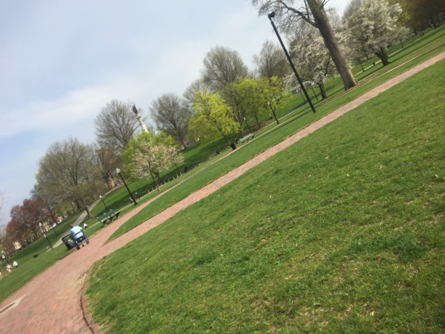 2018/05(May)/Vistra-travel/640x480_2018-05-03-Boston-4.JPG