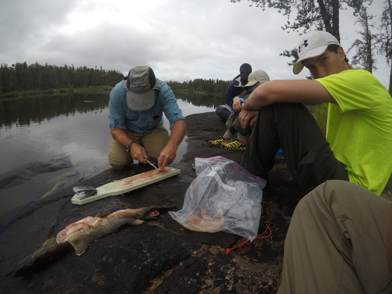 2018-06-16-Northern-Tier-Crew8787-13-Bob-cleaning-fish-Eric-Dax-Chance.JPG
