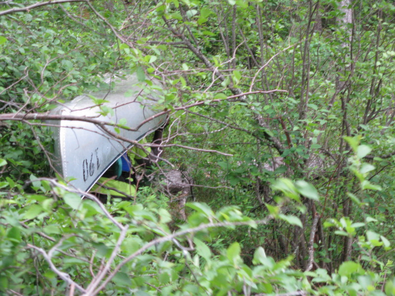 2018-06-17-Northern-Tier-Crew8787-33-portage-through-unkept-trails.JPG