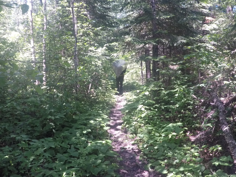 2018-06-18-Northern-Tier-Crew8787-16-portage.JPG
