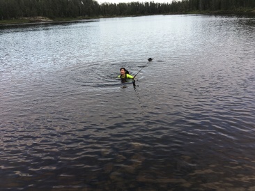 2018-06-15-Northern-Tier-Crew8787-08-Dax-retrieving-fishing-pole.JPG