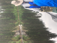 2018-06-15-Northern-Tier-Crew8787-Video-07-swan-taking-flight.png