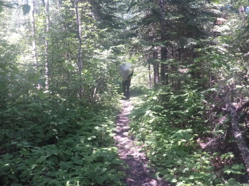 2018-06-18-Northern-Tier-Crew8787-16-portage.JPG
