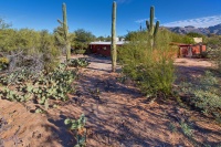 2018/12(December)/Hildebrand-Professional-Pics/Cactus.jpg