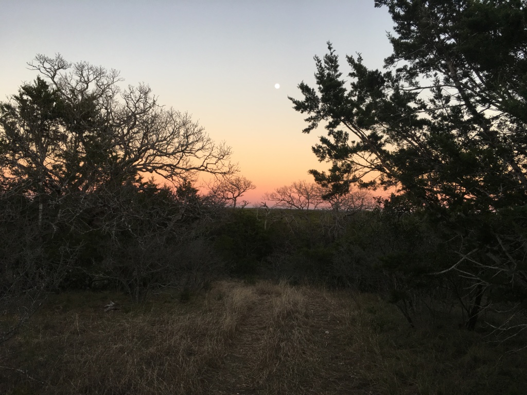 2019/01(January)/Lost-Maples-Camping/1024x768_2019-01-19-05-Lost-Maples-Camping.JPG