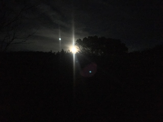 2019/01(January)/Lost-Maples-Camping/640x480_2019-01-20-06-Lost-Maples-Camping-moon-and-sunset.JPG
