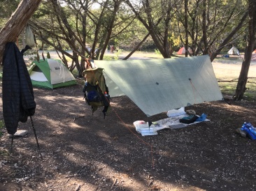 2019-01-20-05-Lost-Maples-Camping-hammock-setup.JPG
