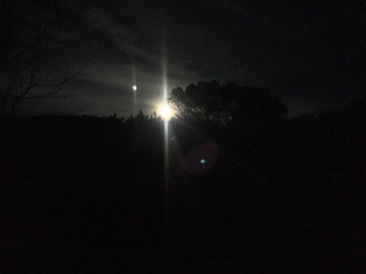2019-01-20-06-Lost-Maples-Camping-moon-and-sunset.JPG