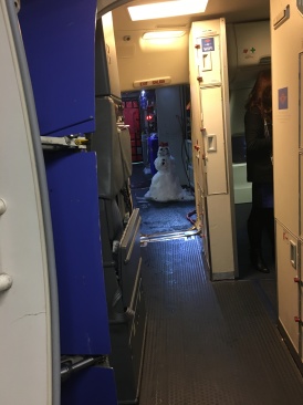 2019-01-15-snowman-on-Southwest-plane-resupply.JPG
