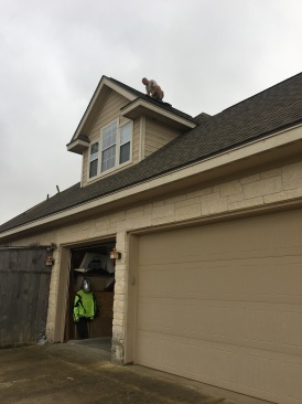 2019-02-02-fixing-shingles-Travis-1.JPG