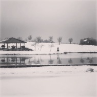 2019-01-10-Vistra-Columbus-4.JPG