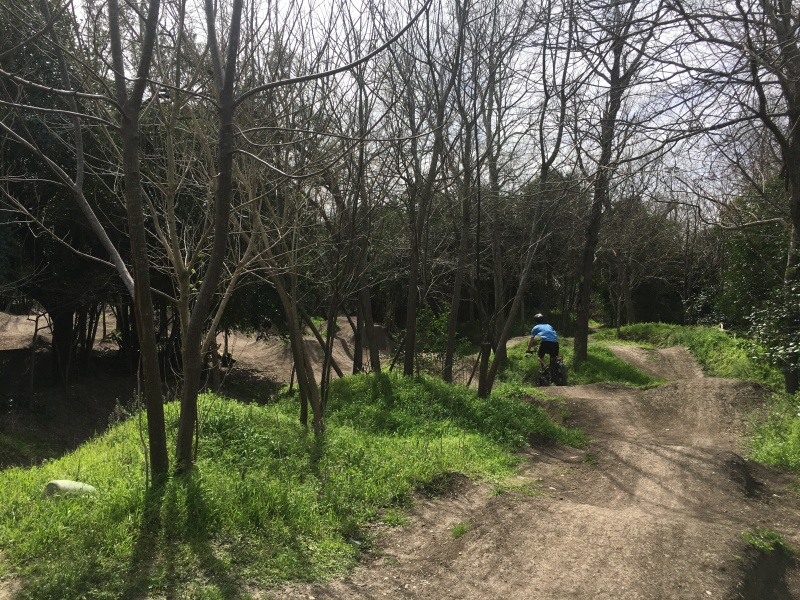 2019/02(February)/Walnut-Creek-Biking/800x600_2019-02-23-Walnut-Creek-RadBikes-08-Chance.JPG