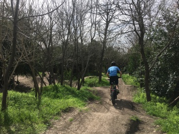 2019-02-23-Walnut-Creek-RadBikes-07-Chance.JPG