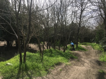 2019-02-23-Walnut-Creek-RadBikes-08-Chance.JPG